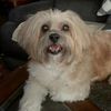 maggie4455